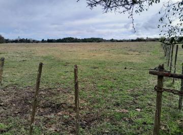 Campo · 50000m² · Chacra 5 Hectáreas Gral Madariaga