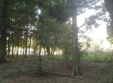 MRE-MRE-1409_2 · Venta de Lote en Lomas Altas Chascomus Lote Terreno en Chacomus
