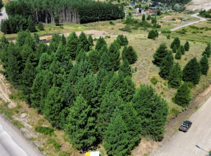 Terreno · 1117m²