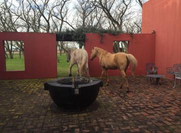 Campo · 200ha · 4 Ambientes · San Antonio de Areco Campo con Casa