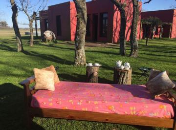 Campo · 200m² · 4 Ambientes · Campo de 32 Has con Casa de 200 m² - San Antonio de Areco