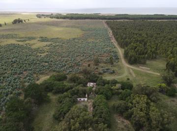 Campo · 210m² · Venta Campo 210 Ha Necochea