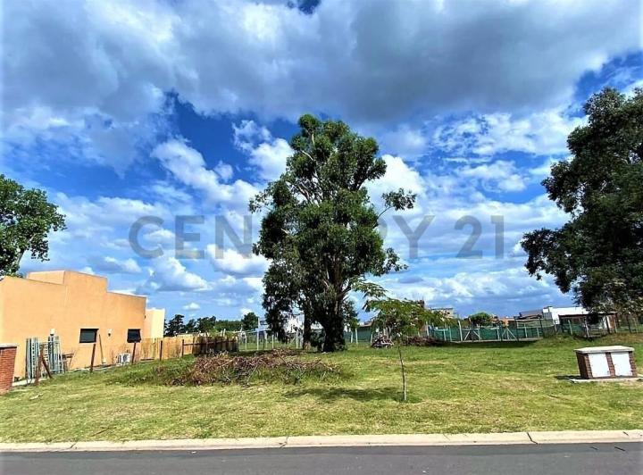 Terreno · 500m²
