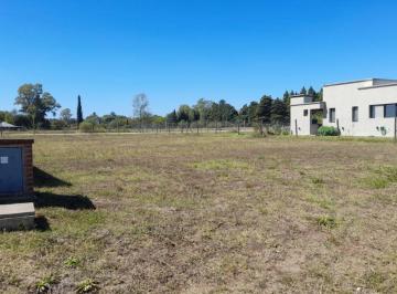 SGM-SGM-1207_2 · Lote. | Ruta 4 Al Km 400