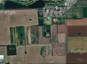 Campo · 31392m² · Fracción de 3 Ha en Venta en Pérez