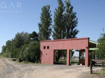Terreno · 3100m² · Venta Lote - Club de Campo La Ranita / Manzanares