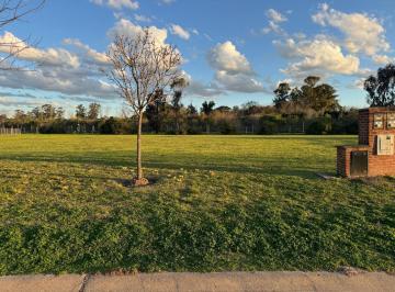 Terreno · 985m² · Venta Lote en San Sebastian Area 12