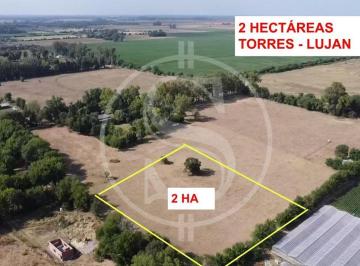 Campo · 21900m² · 1 Ambiente · Campo de 2 Ha Torres a m Ruta 192
