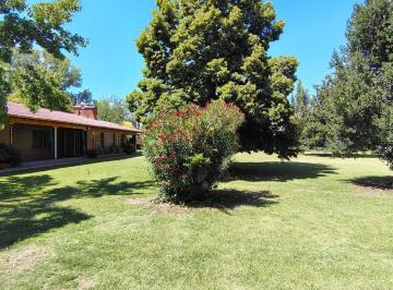 Casa de 5 ambientes, Vistalba · Alquiler Hermosa Casa Quinta en Vistalba