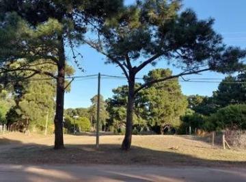 Terreno · 500m² · Terreno en Venta - 500 m² - Nueva Atlantis