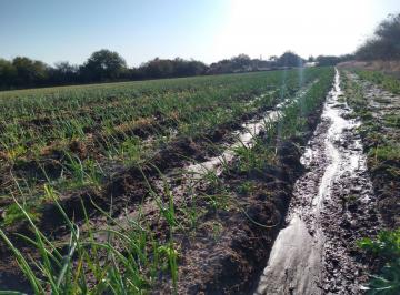Campo · 200000m² · Campo en Venta Cruz del Eje