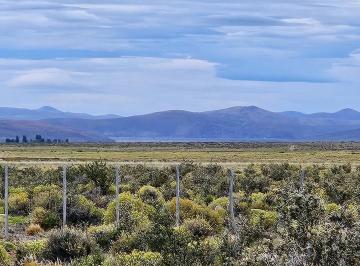 Campo · 850m² · 4 Ambientes · 2 Cocheras · Excelente Campo Productivo - Gobernador Costa - Chubut
