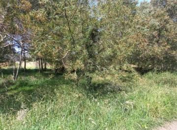 Terreno · 300m² · Venta Terreno Parque Bristol