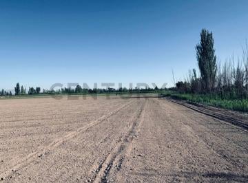 Campo · 1m² · 2 Ambientes · Finca en Venta en Lavalle, Mendoza.