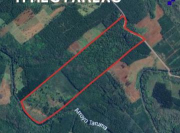 Campo · 2147483647m² · Chacra de 41ha en Venta