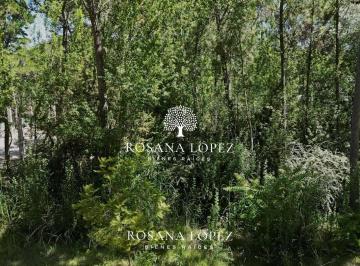 RLB-RLB-94_2 · Lote. | Porvenir Al 100