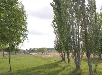 NNI-NNI-2845_2 · Venta Parcela 10442 m², San Vicente