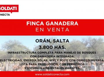 Campo · 38000000m² · Campo en Venta - La Estrella - Salta