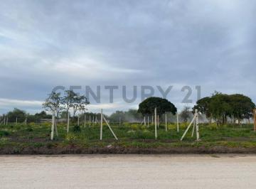 Terreno · 260m² · 212 y 41. Lote en Lisandro Olmos 10x26