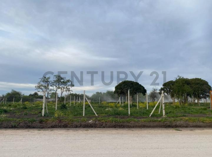 Terreno · 260m²