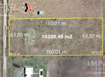 Campo · 10000m² · 1 Ha Uribelarrea Cañuelas.