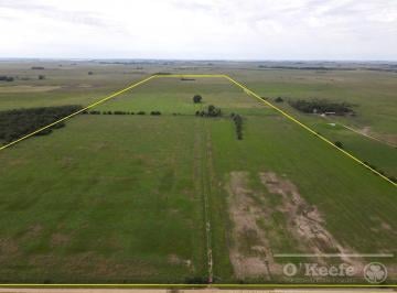 Campo · 900000m² · Campo Mixto de 90 Has con Muy Buen Acceso a 1.30 Hs de Caba - Ranchos