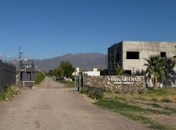 Terreno , Vistalba · Viñas de Ortiza, Vistalba