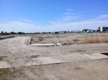 Terreno · 300m² · Lote en Venta en Rodeo de La Cruz