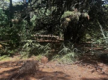 Terreno , Cariló · Lote en Venta Carilo Ceibo y Urraca Oeste
