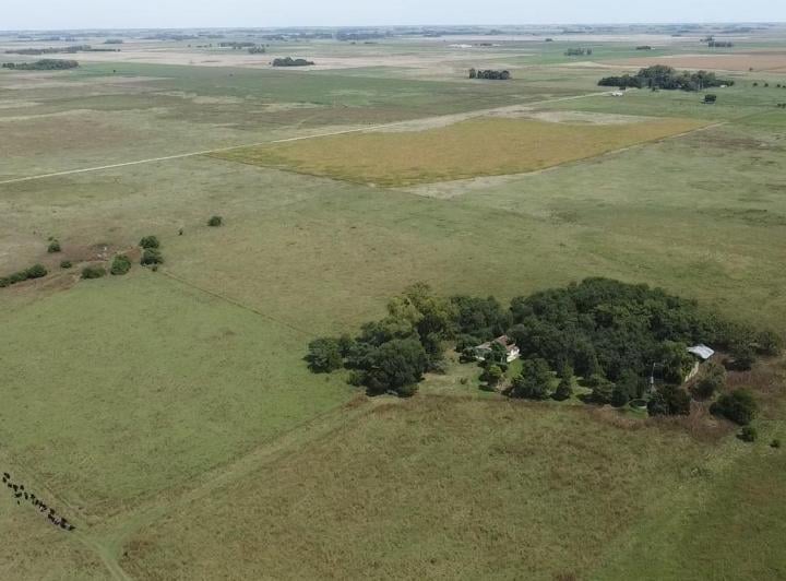 Campo · 300m² · 4 Ambientes