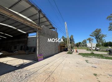 Bodega-Galpón · 650m² · Hermoso Galpón /deposito en Alquiler