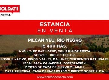 Campo · 54000000m² · Campo de 5400 Ha en Venta - Dina Huapi - Rio Negro