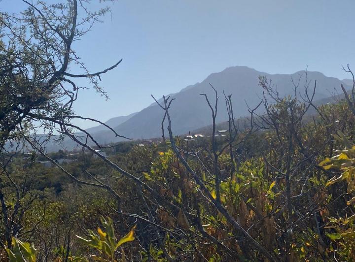 Terreno · 2338m²