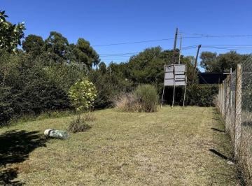 RFP-RFP-1473_2 · Lote. | Eva Peron