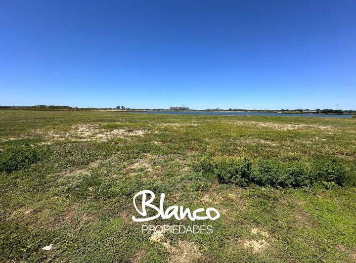 Terreno · 1155m²