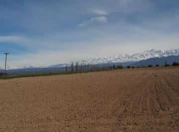 Campo · 100000m² · Finca de 10 Has Incultas a La Venta en Calle Cobos, Agrelo