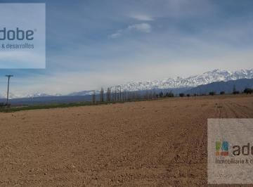 Campo · 100000ha · Finca de 10 Has Incultas a La Venta en Calle Cobos, Agrelo