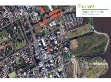 Terreno · 267m² · - Lote Apto Propiedad Horizontal - Olivos Vias Rio