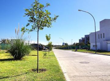 Terreno · 360m² · Terreno en San Ignacio Village