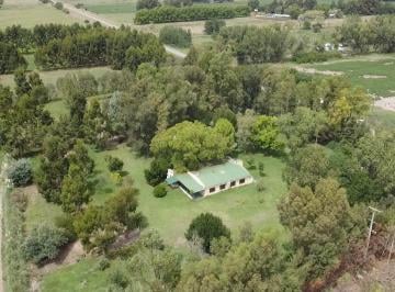 Quinta vacacional de 7 ambientes, Alegre · Gran Casa Quinta Sobre 3,7 Ha Alegre, General Paz, Bs As.