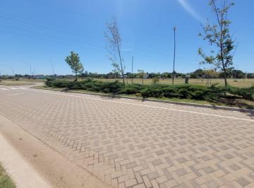 Terreno · 300m² · Terreno en Ecotierra