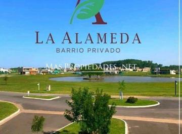 Terreno · 1300m² · Lote en Venta en Canning Barrio La Alameda