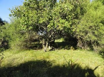 Campo , Gualeguaychú · Gualeguaychú Campo Mixto a 240 Km de Caba