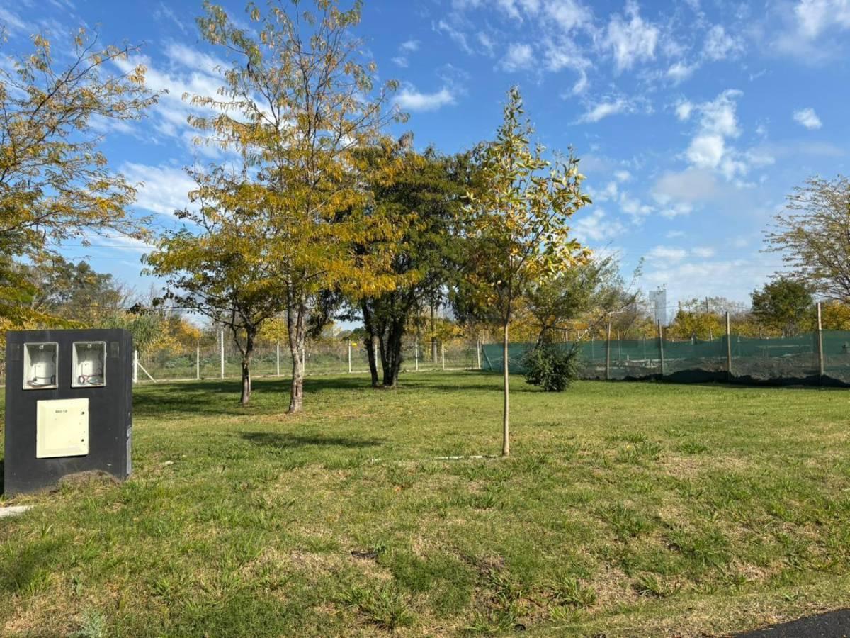 446 y 141 sn, City Bell, La Plata