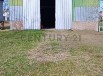Bodega-Galpón · 400m² · Galpon en Renta