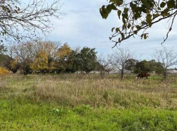 Terreno · 5000m² · Lote en Venta City Bell 454 y 148
