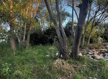 Terreno · 600m² · Calle 23 Entre Garay y Av San Bernardo