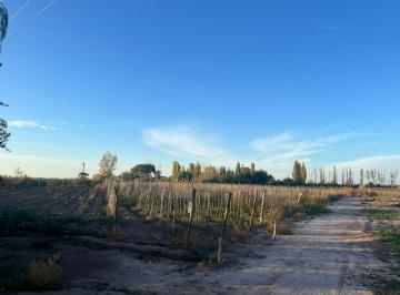 Campo , Maipú · Contacto Propiedades Inmobiliaria Vende Finca en Maipú