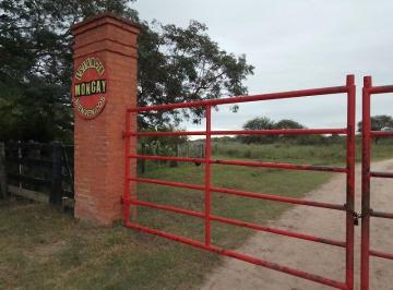 Campo · 120m² · 5 Ambientes · Campo en Venta - Chaco, Dpto Bermejo, Estancia Mongay, 5.700 Ha
