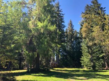 Terreno · 2933m² · Venta Lote Villa La Angostura